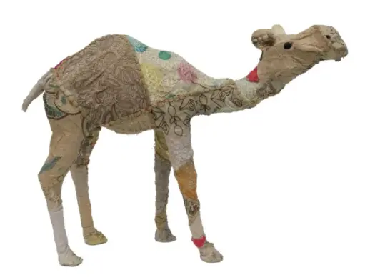 Camel